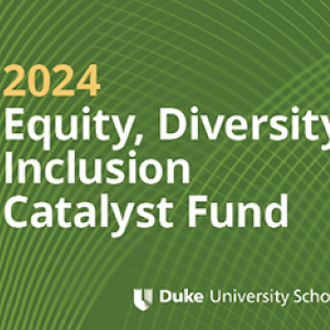 Green background with "2024 Equity Diversity and Inclusion Catalyst Fund" overlay