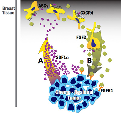 ASC cross-talk illustration