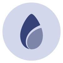 SEEDS Areas of Focus icon