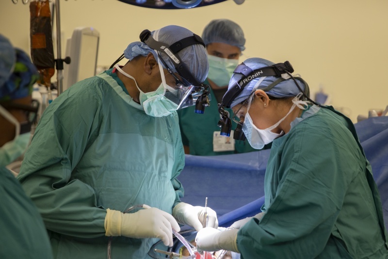 Dr. Collins performs a kidney transplant in the operating room