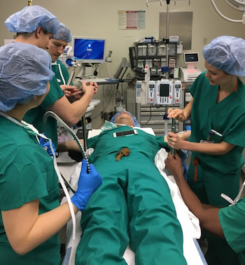 Students practicing setting up the Bookwalter Retractor