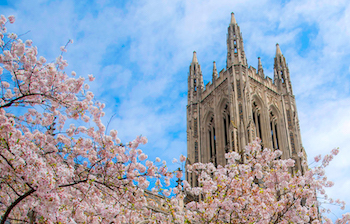 Duke Chapel with cherry blossoms