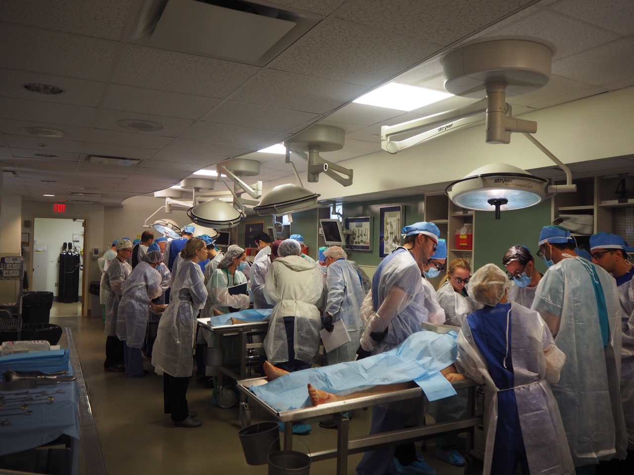 Flap Course Photo dissecting cadavers
