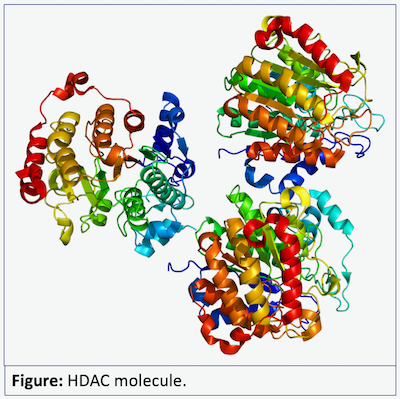 HDAC molecule illustration