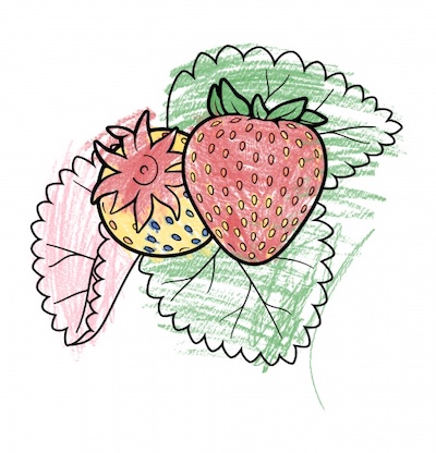 Illustration of strawberry