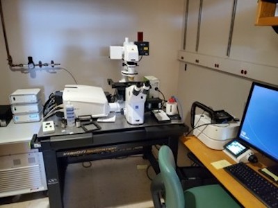 Room in the Snyder Lab