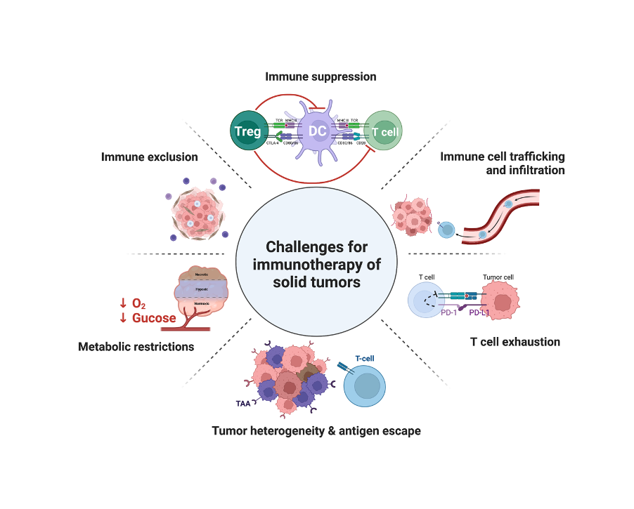 Illustrative representation of challenges for immunotherapy of solid tumors