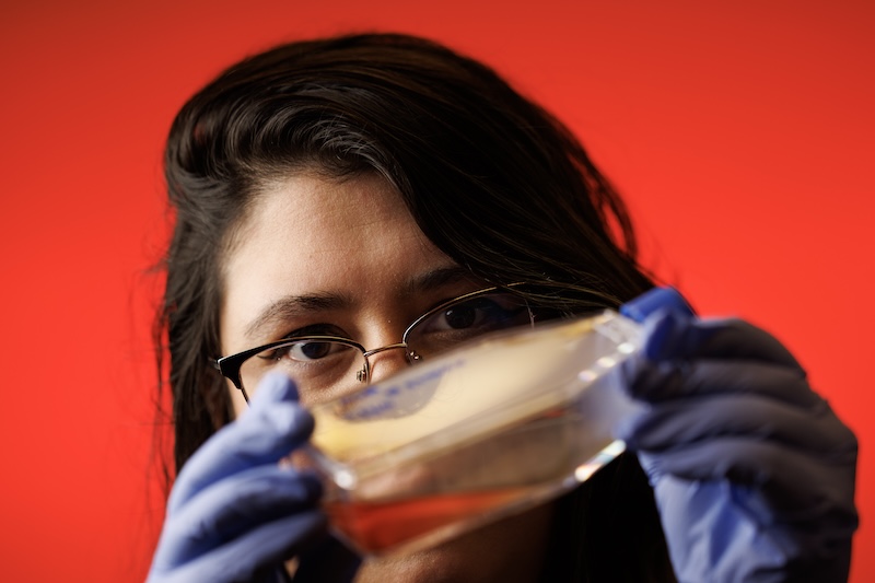 Crosby lab member looking at sample