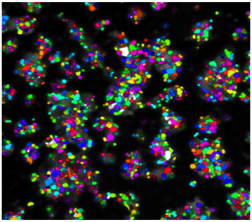 Combinatorial hyperspectral imaging of fluorescently labeled cells