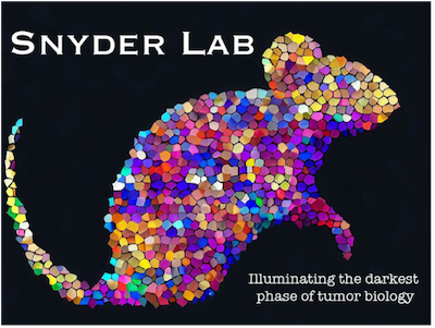 Colorful mosaic mouse with the words Snyder Lab