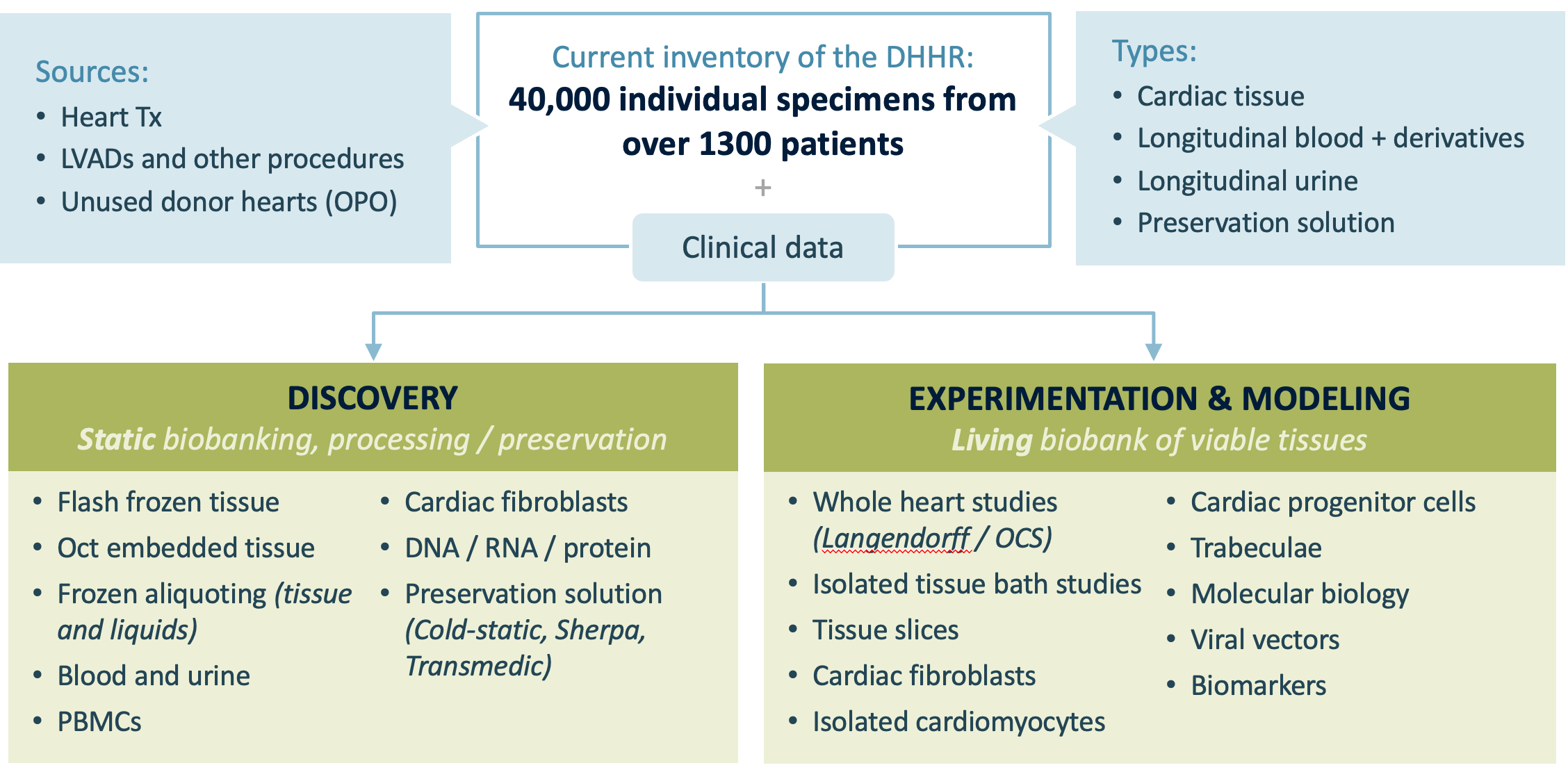 graphic outlining Duke Human Heart Repository capabilities