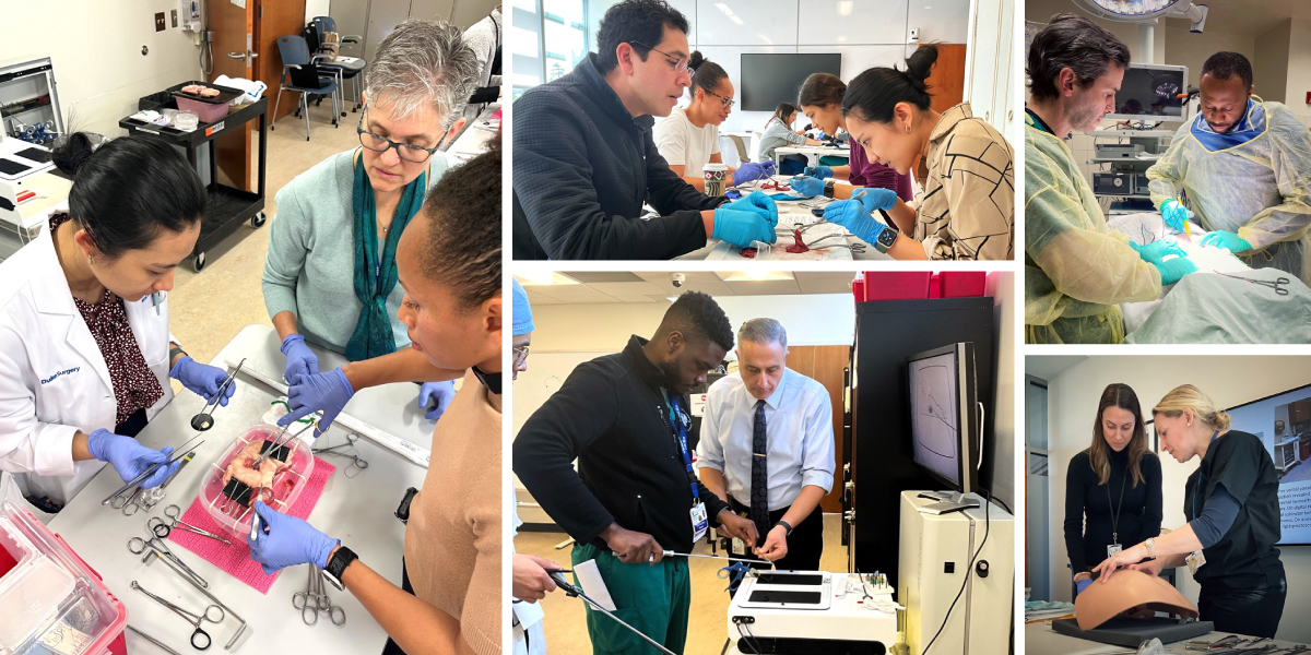 Photo collage of trainees and faculty working in SEAL