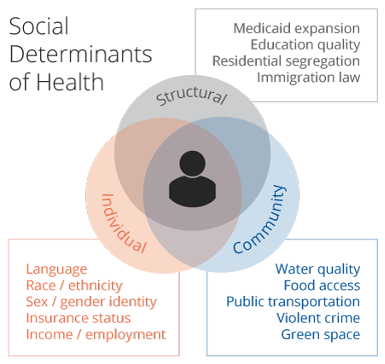 Venn diagram showing the social determinants of health