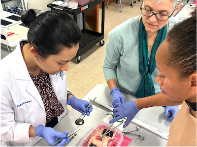 A faculty member instructs surgical residents on surgical technique in a simulation lab