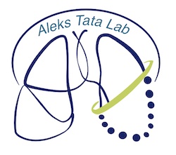 Illustration of lungs and the words "Aleks Tata Lab"