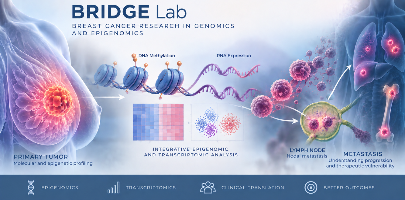 A graphic illustration showcasing the BRIDGE Lab's research aims and goals