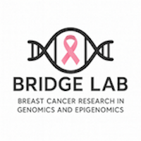 A logo for the BRIDGE Lab features a black outlined double-helix with a pink Breast Cancer Awareness ribbon inside