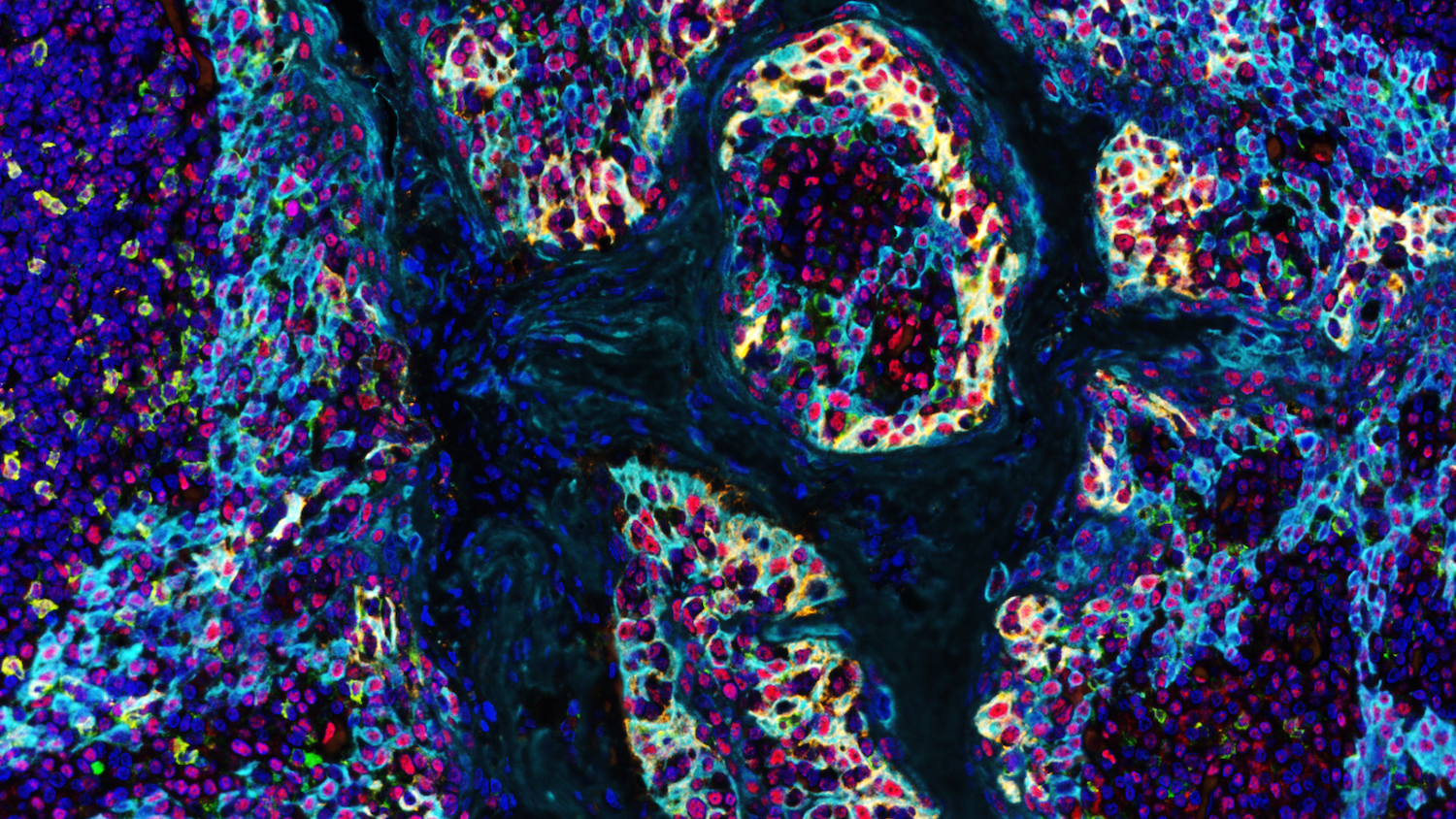 Graphic close up of cell