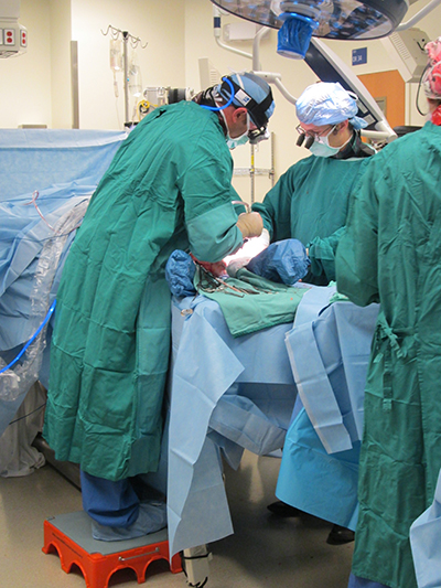 Photo of surgeons operating 