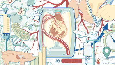 Illustrative collage of the research and clinical care factors impacted by ex vivo utilization