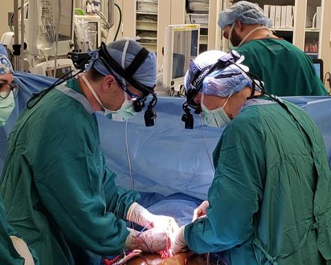 Dr. Jacob Schroder and Dr. Carmelo Milano