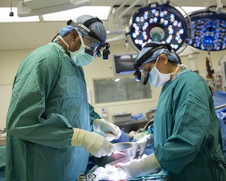 Kidney Transplant Clinical Trials