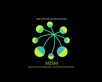An image of the Center for Multiscale Immune Systems Modeling (MISM) logo
