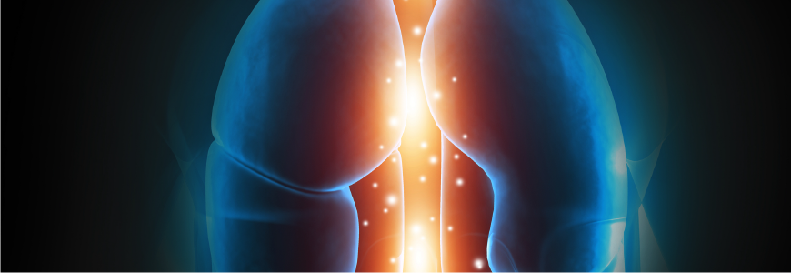 Artistic digital illustration of lungs