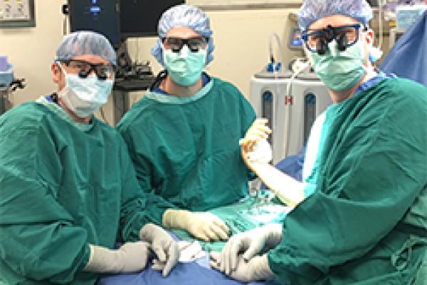 Hand Surgery fellows