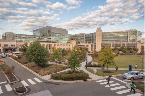 Duke Clinic