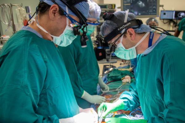 Cardiothoracic surgeons perform a heart transplant