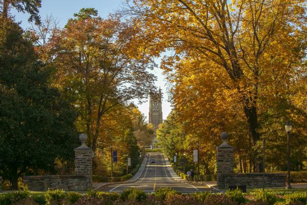 Duke Chapel Drive