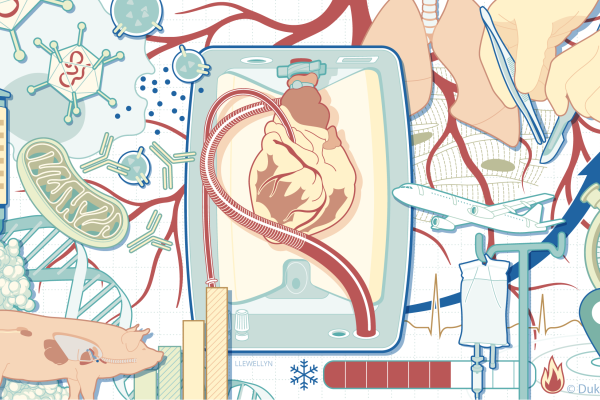 Illustrative collage of the research and clinical care factors impacted by ex vivo utilization
