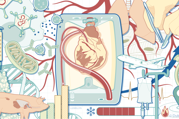 Illustrative collage of the research and clinical care factors impacted by ex vivo utilization