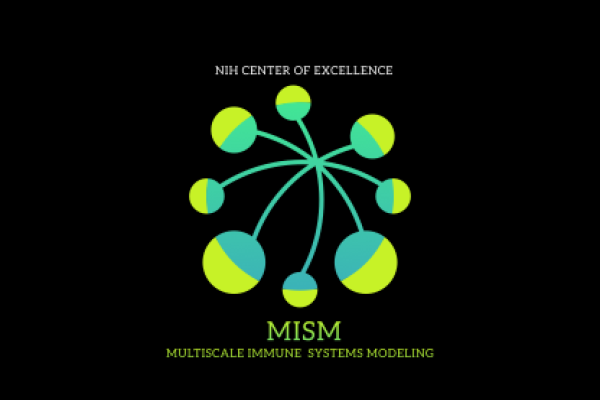 An image of the Center for Multiscale Immune Systems Modeling (MISM) logo