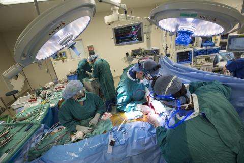 Duke surgeons perform lung transplant (wide angle shot in the operating room)