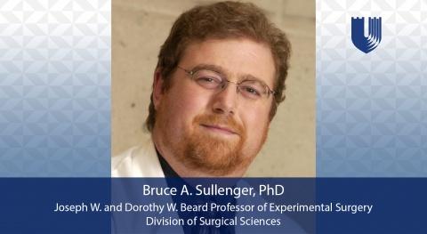 Bruce Sullenger, PhD, Joseph W. and Dorothy W. Beard Professor of Experimental Surgery, Division of Surgical Sciences