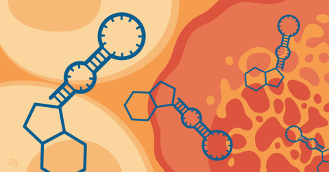 Graphic illustration of synthetic molecules