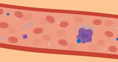 Graphic illustration of blood vessel