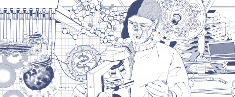 Illustration of surgeon–scientist.