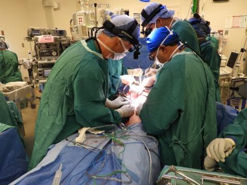 Duke Plastic Surgeons in the operating room attaching donor abdominal wall to transplant recipient