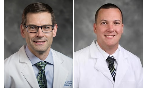 Dr. Hartwig and Dr. Overbey