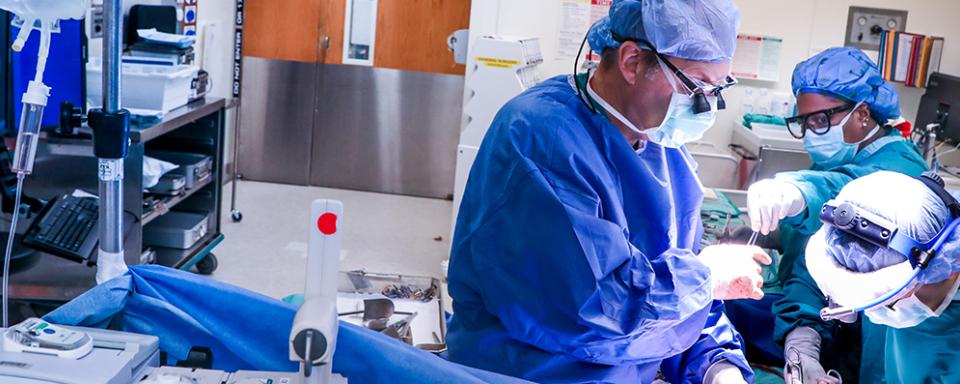 Surgical oncologists