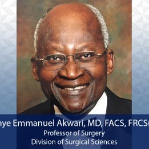 Onye Emmanuel Akwari, MD, FACS, FRCS(C), Professor of Surgery, Division of Surgical Sciences