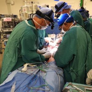 Duke Plastic Surgeons in the operating room attaching donor abdominal wall to transplant recipient