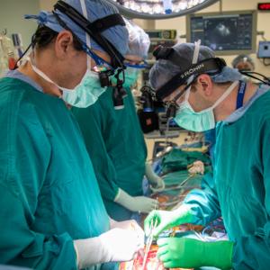 Cardiothoracic surgeons perform a heart transplant