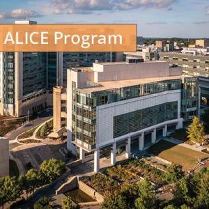 2024 ALICE Program