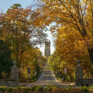 Duke Chapel Drive
